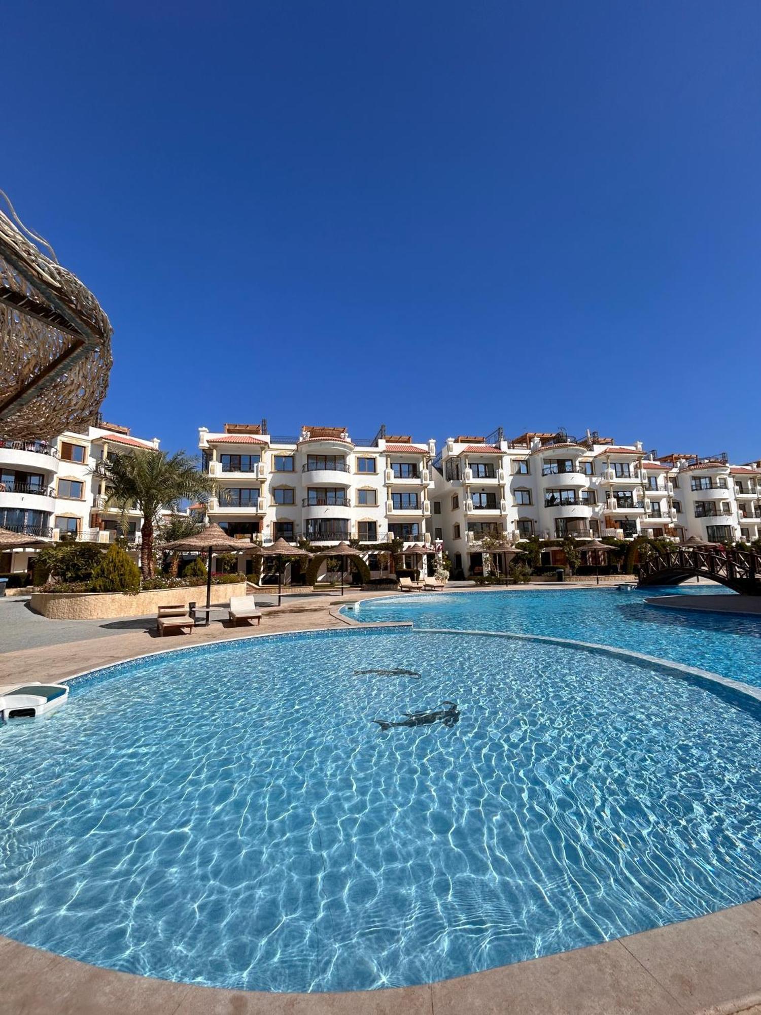 Cosy Studio On The First Floor With Lovely Terrace And Personal Garden Area, Pool View And Free Beach Access In Sharm Hills Resort Exteriör bild