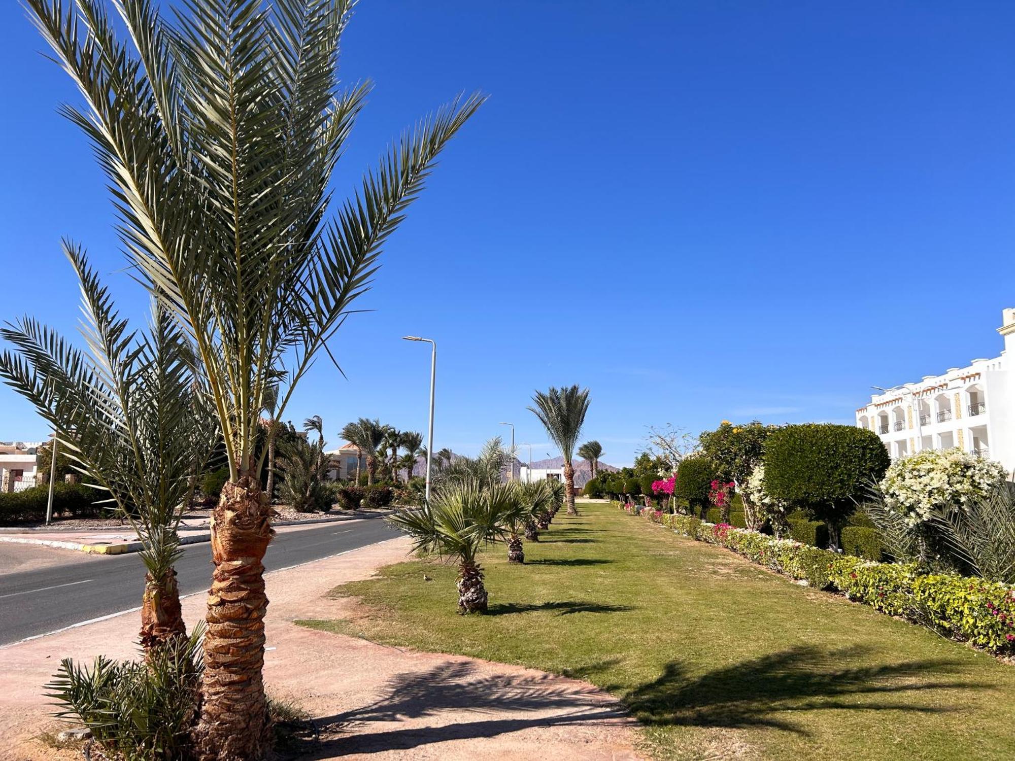 Cosy Studio On The First Floor With Lovely Terrace And Personal Garden Area, Pool View And Free Beach Access In Sharm Hills Resort Exteriör bild